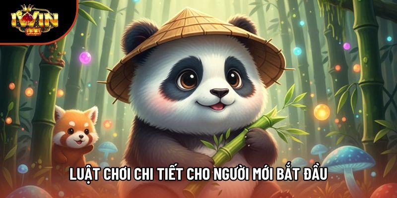 Luật chơi chi tiết cho người mới bắt đầu Luật chơi chi tiết cho người mới bắt đầu